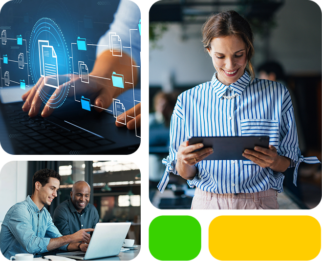 Master Data Management