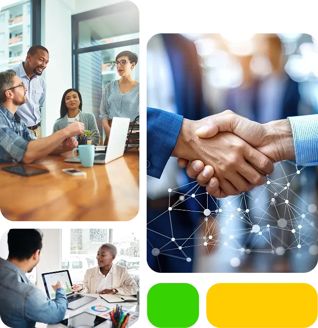 Syndigo Partners